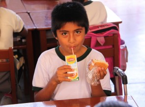 2017 Blog  – Safe Nutrition for Children in Peru