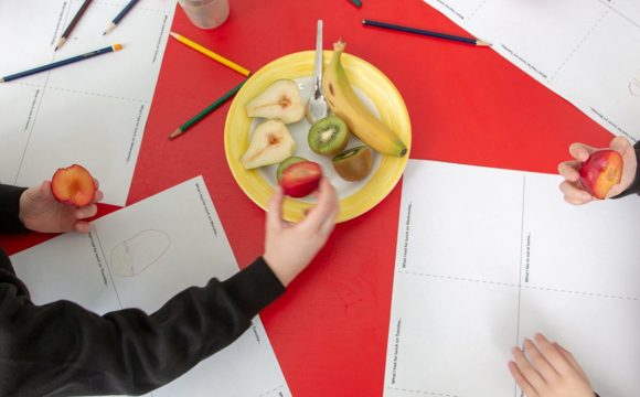 2019 – a practical project that works to make sure all children get their free school meals in North Lanarkshire, Scotland