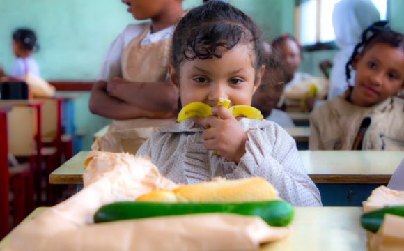 2020 – Innovative and important lunches in Yemen