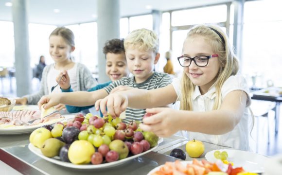 2023: Why every child deserves a healthy, sustainably sourced school meal, Stockholm Environment Institute, Sweden